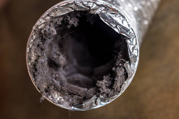 Best Local Air Duct Cleaning Services  in Mulberry, NC